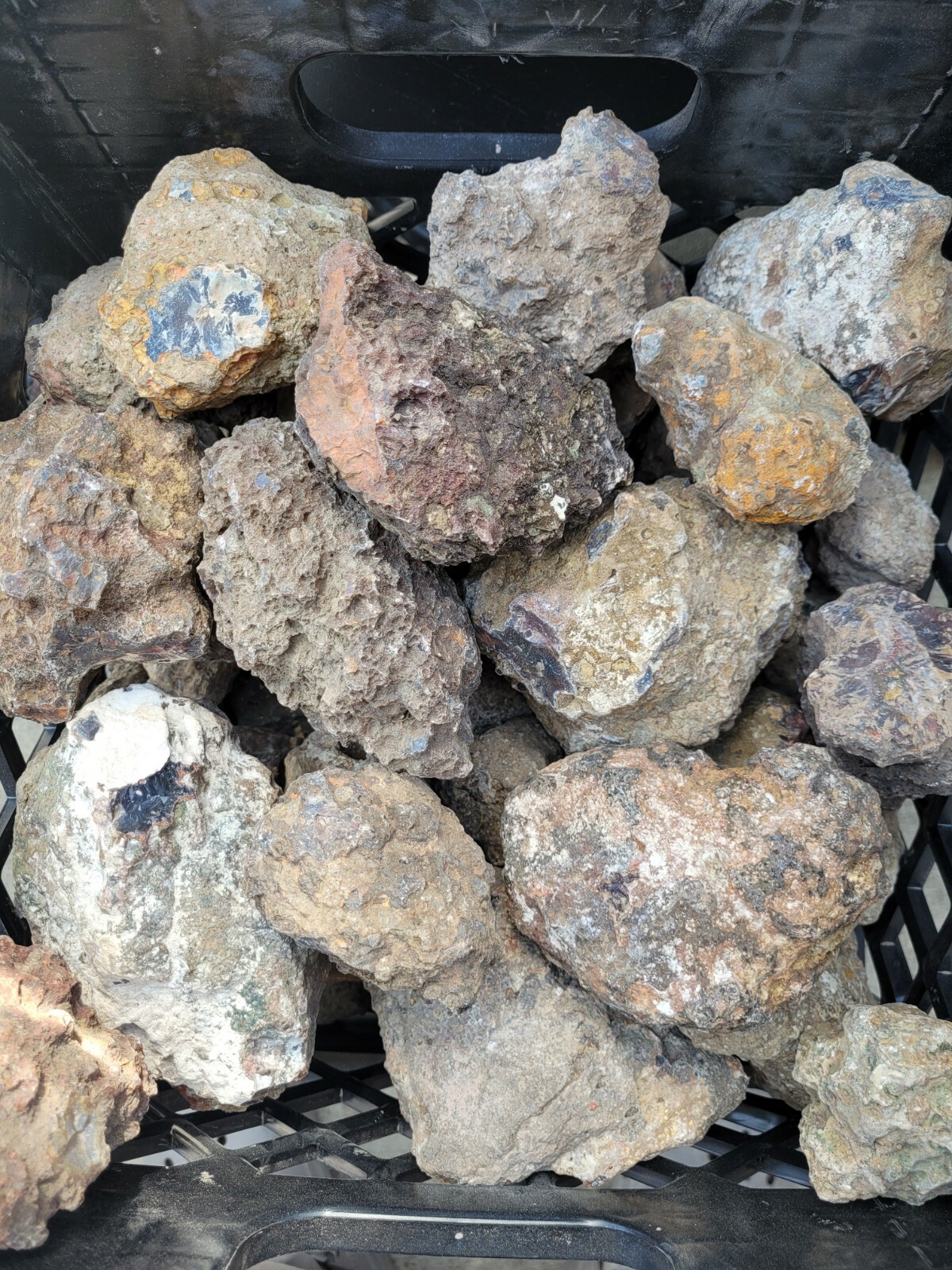Condor agate rough small nodules 4 pounds