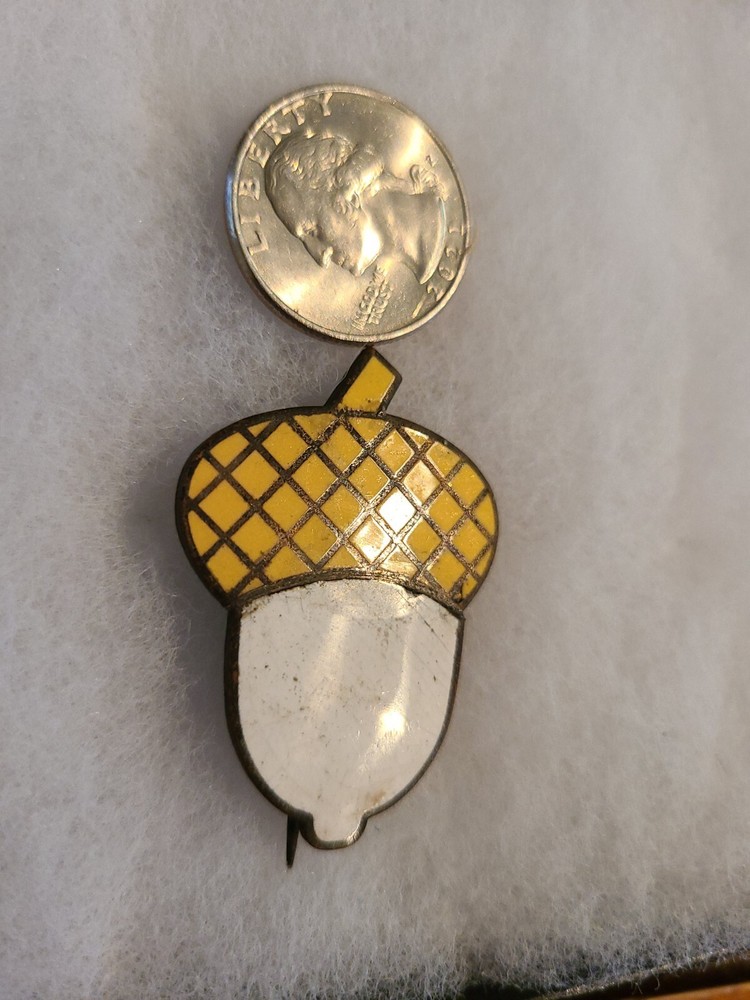 Civil War 14th Corps Badge