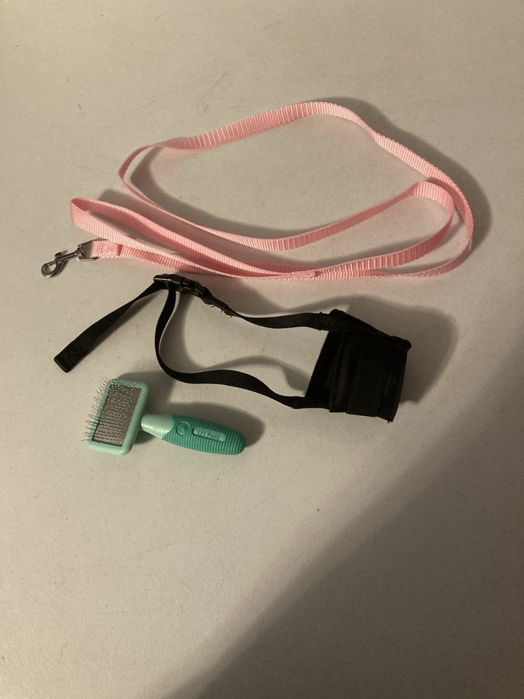 Puppy Supplies Bundle