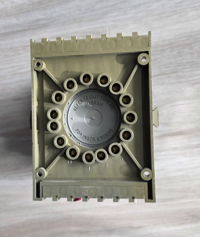 Eagle Signal CX202A6 Cycle-Flex Electronic Reset Timer