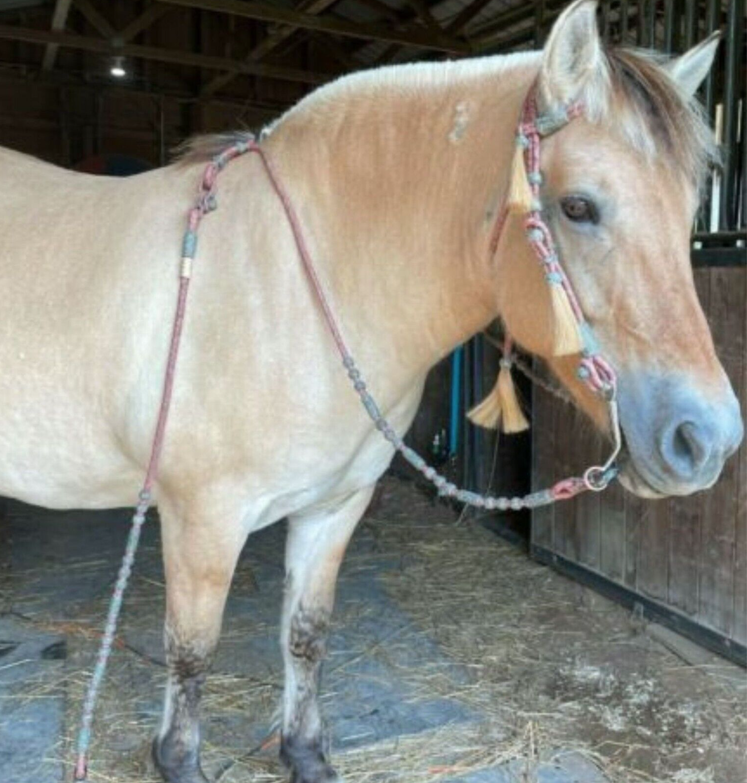 Romal Reins Chestnut Cherry,20 plait Romel Reins Oklahoma Style,55" Romal Reins,