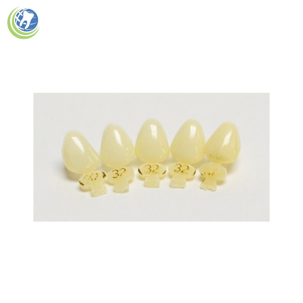 DENTAL POLYCARBONATE TEMPORARY CROWNS #32 (URC) UPPER RIGHT CUSPID  5/PACK