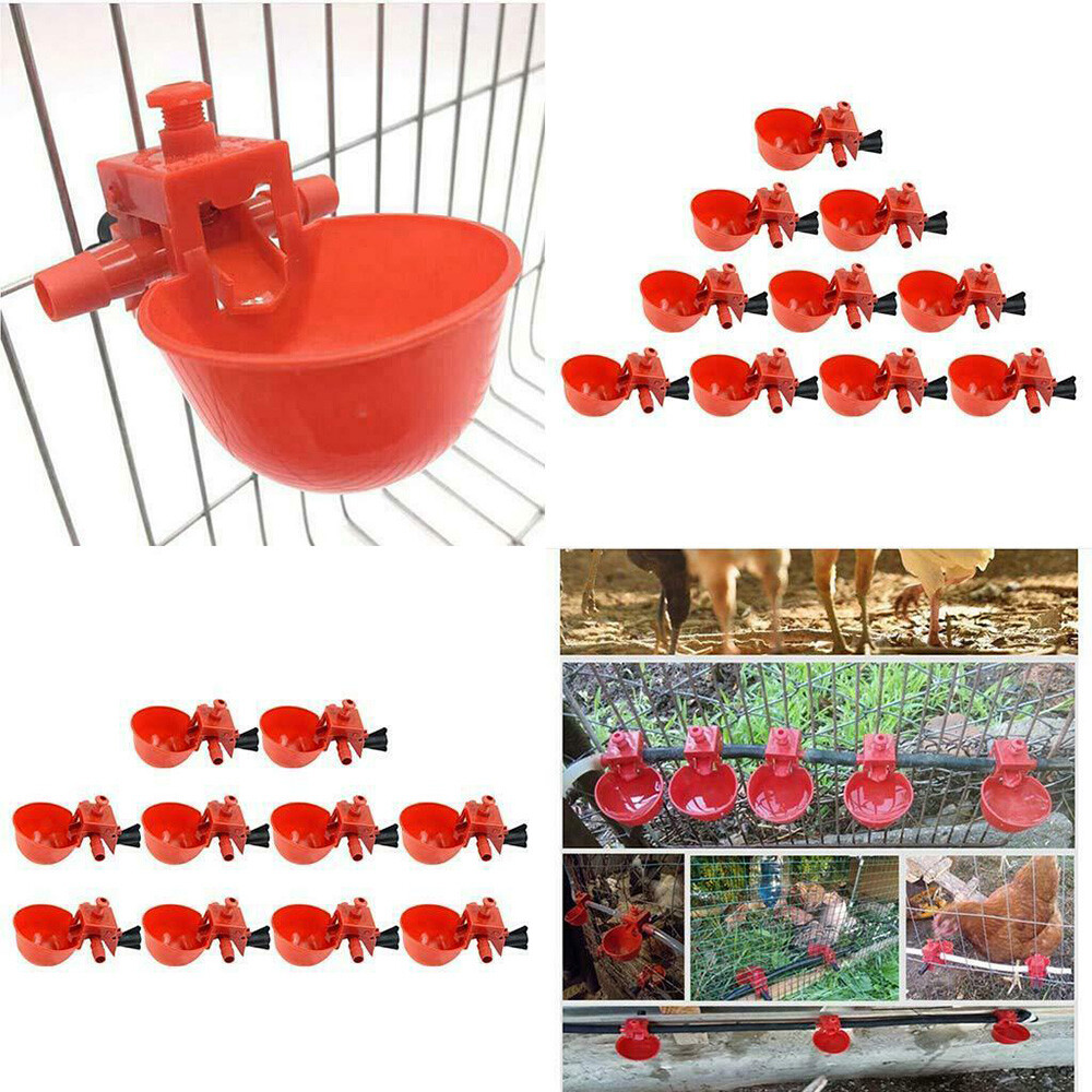 Poultry/Quail Water Drinking Cups Chicken Hen Plastic Automatic Drinker Kit