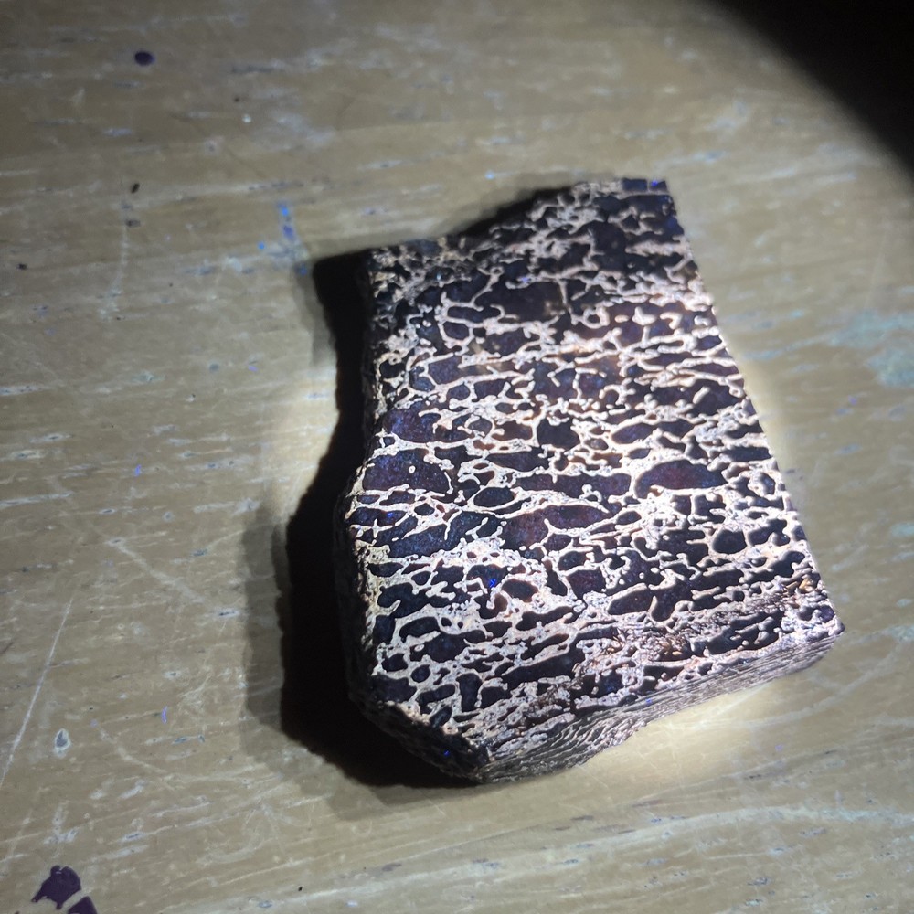 Dinosaur Bone