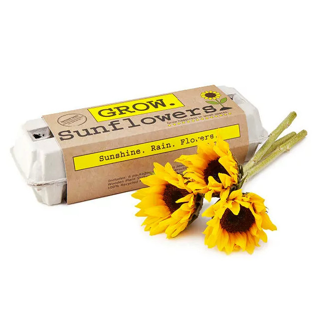 Sunflower Garden Grow Kit