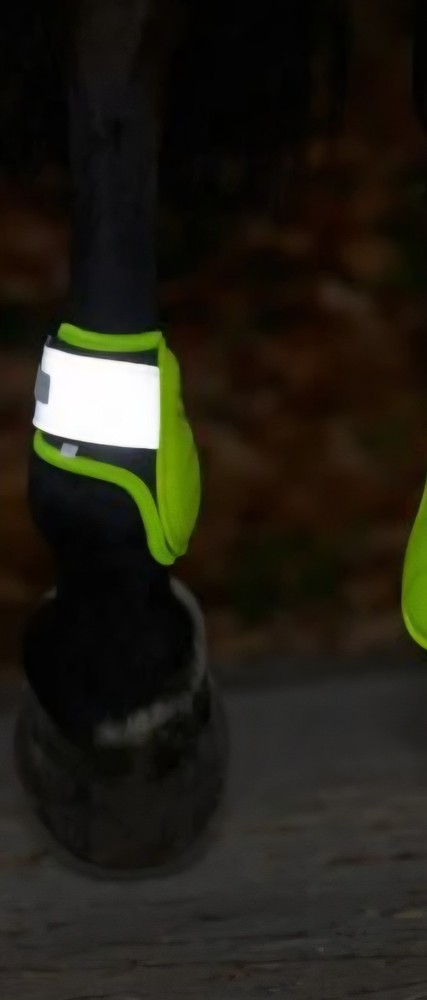 Horse Fetlock Boots