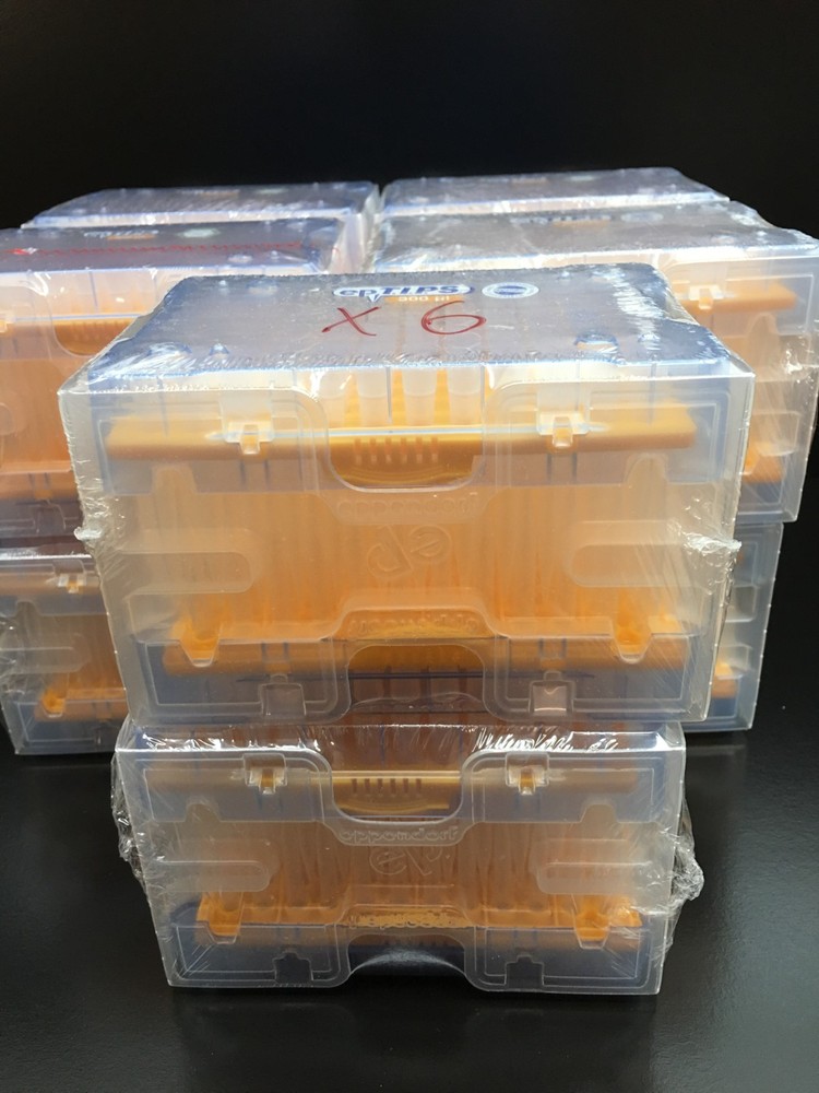 Eppendorf 300uL epTIPS Pipette Tips Lot 6 Racks