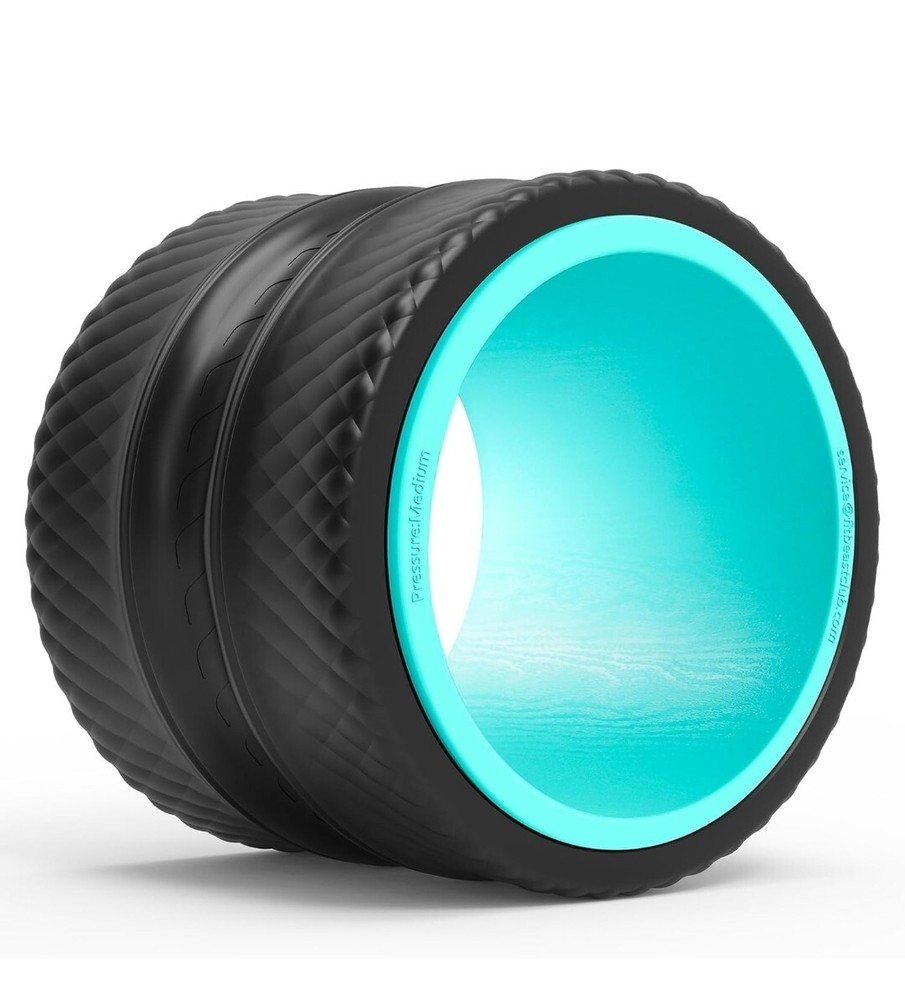 FitBeast Back Roller - 9" Blue