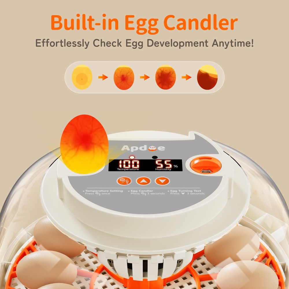 APDOE Egg Incubators for Hatching Eggs, Temperature and 12 Orange