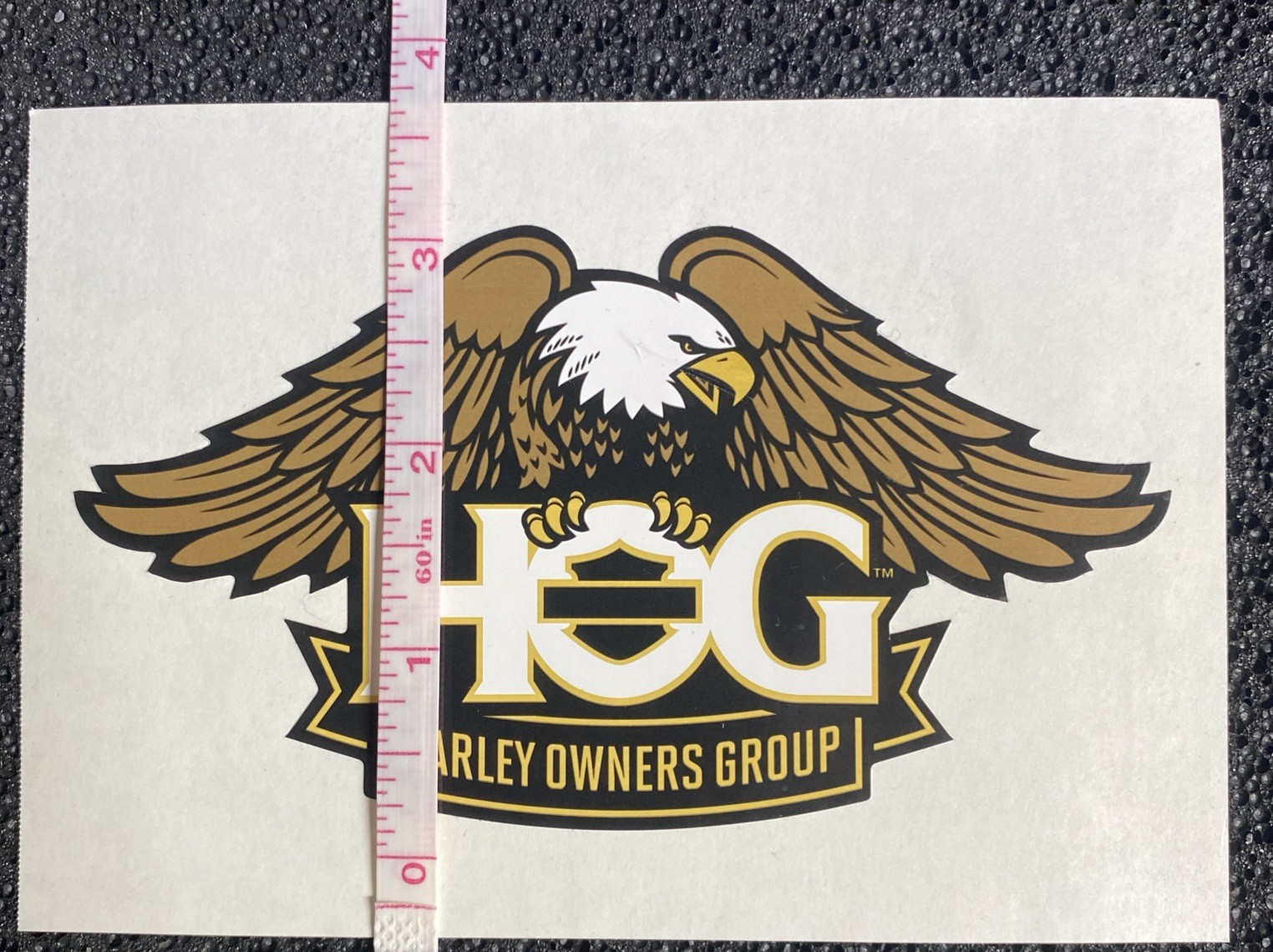 Harley Davidson Owners Group HOG sticker Eagle Logo