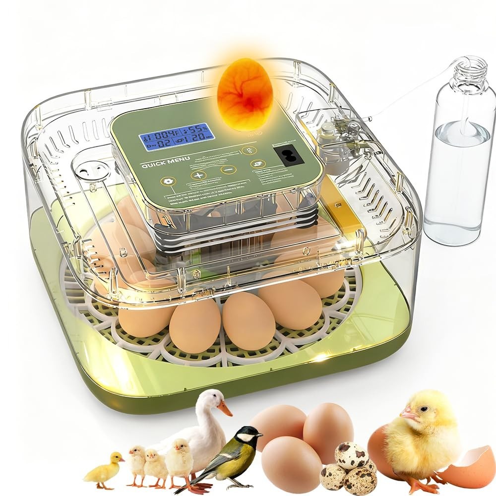 Incubator for Hatching Egg 12 Egg Incubators with Temperature and Humidity Cont