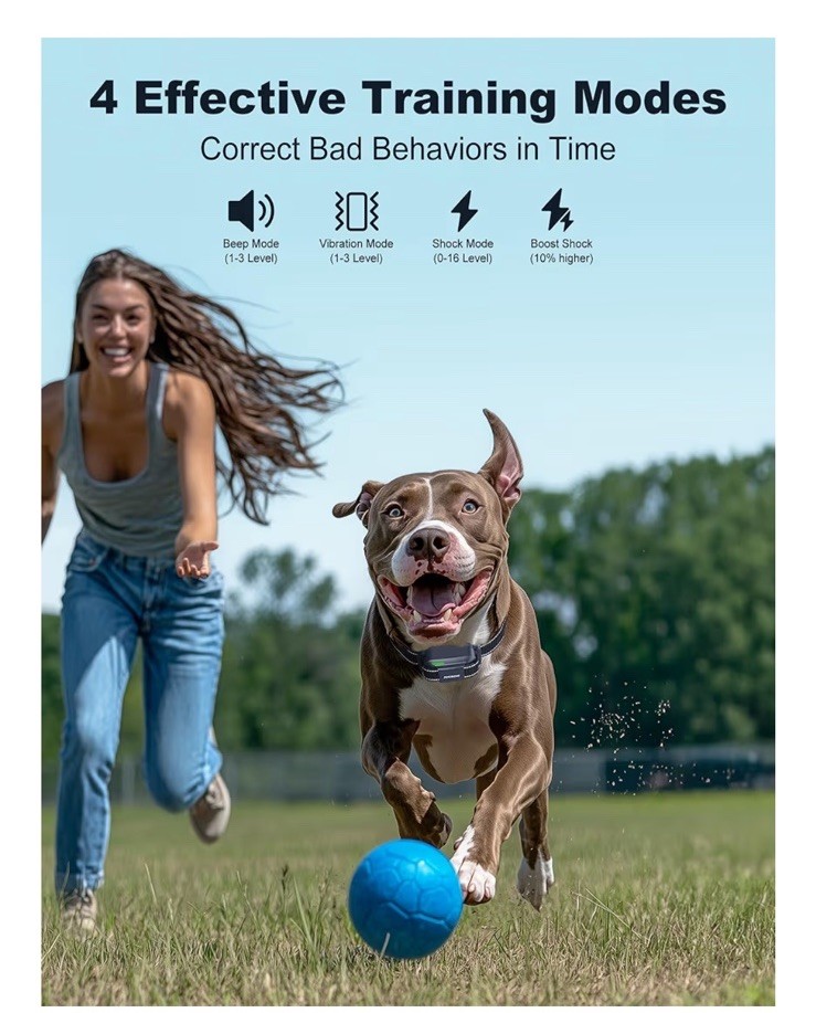 Dog Shock Collar - 4200FT Dog Training Collar with Remote