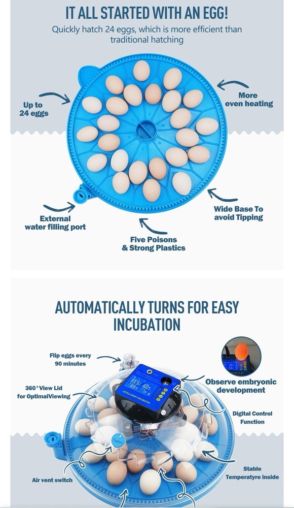 Wanski Egg Incubator for Hatching Chicks,