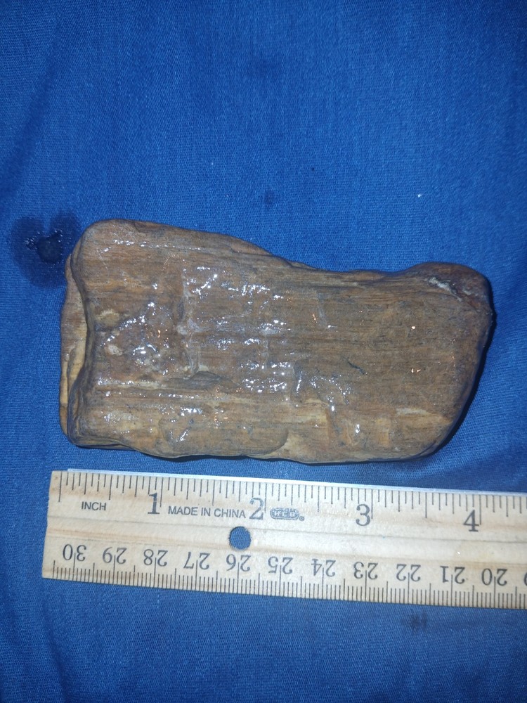 7.1 oz Petrified Wood