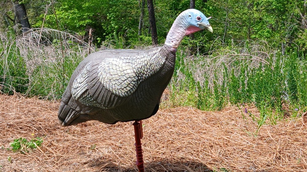 Flambeau (2) + Feather Flex (1) Turkey Decoys