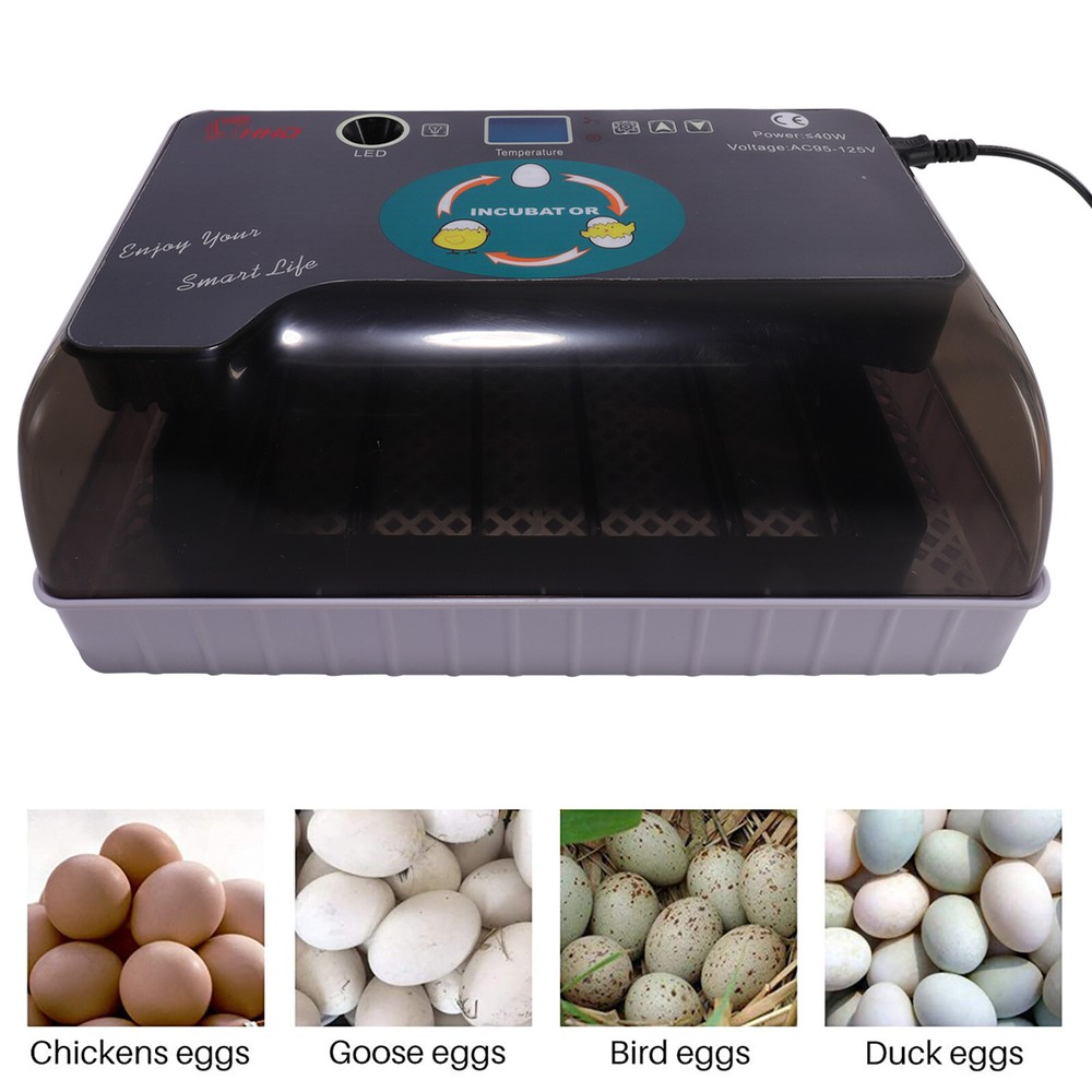 Egg Incubator Automatic Chicken Quail Chick Bird Hatcher Temperature Control