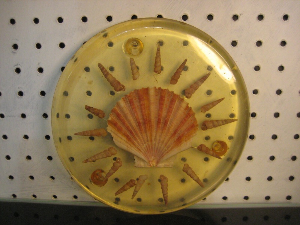Beach Theme Cast Resin Hot Plate Trivet with Embedded Shells