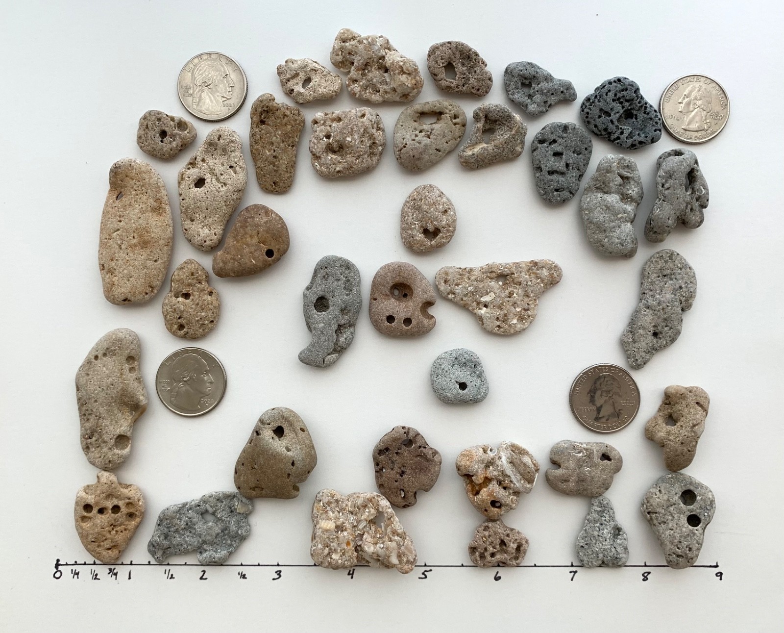 35 Adder Holey Beach Rocks Hag Stones Fairy Lucky Wish Magic Natural 1" #B2 US❤️