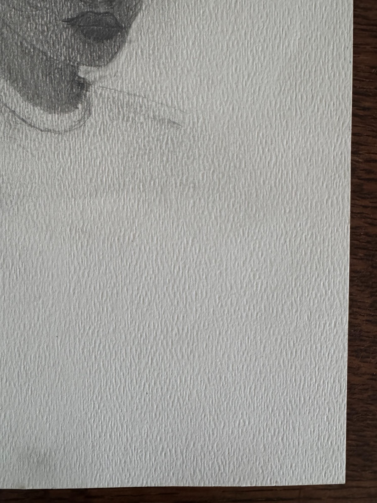 Original Pencil Drawing Young African-American Woman in Glasses 9"x12"