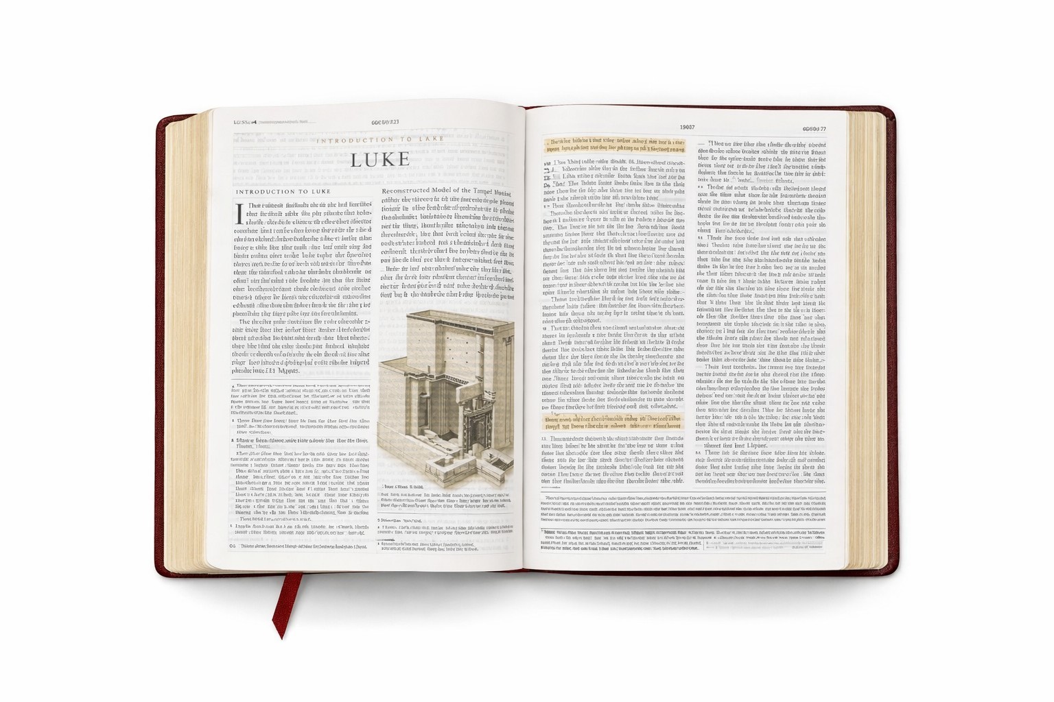 ESV Study Bible Large Print Olive TruTone Branch Design Crossway NEW Sealed