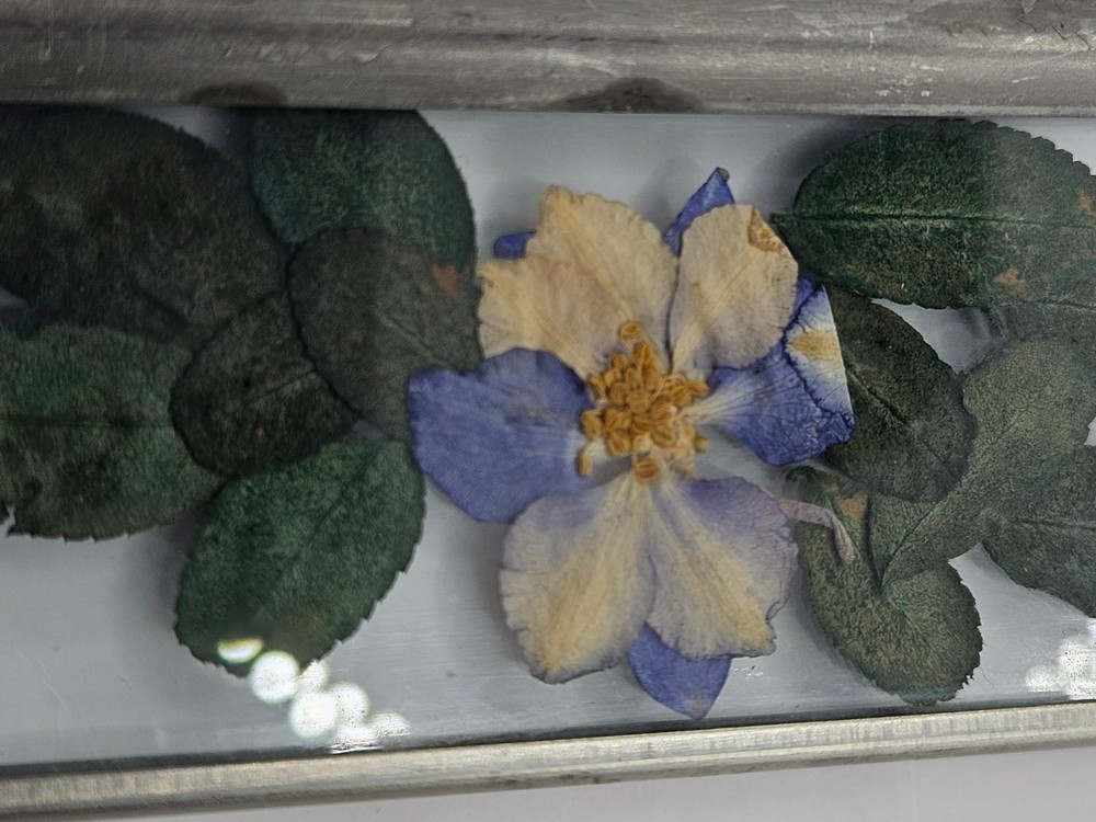 Pressed Flower wall hanging linked frames