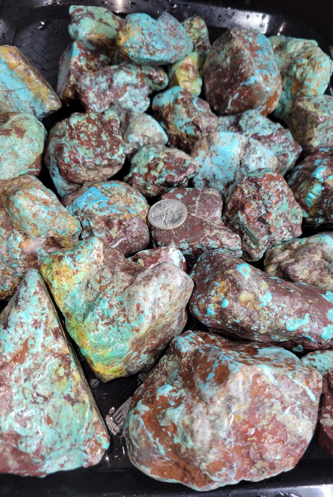 RARE Large Natural Bisbee Arizona Turquoise Rough Nuggets Half Pound