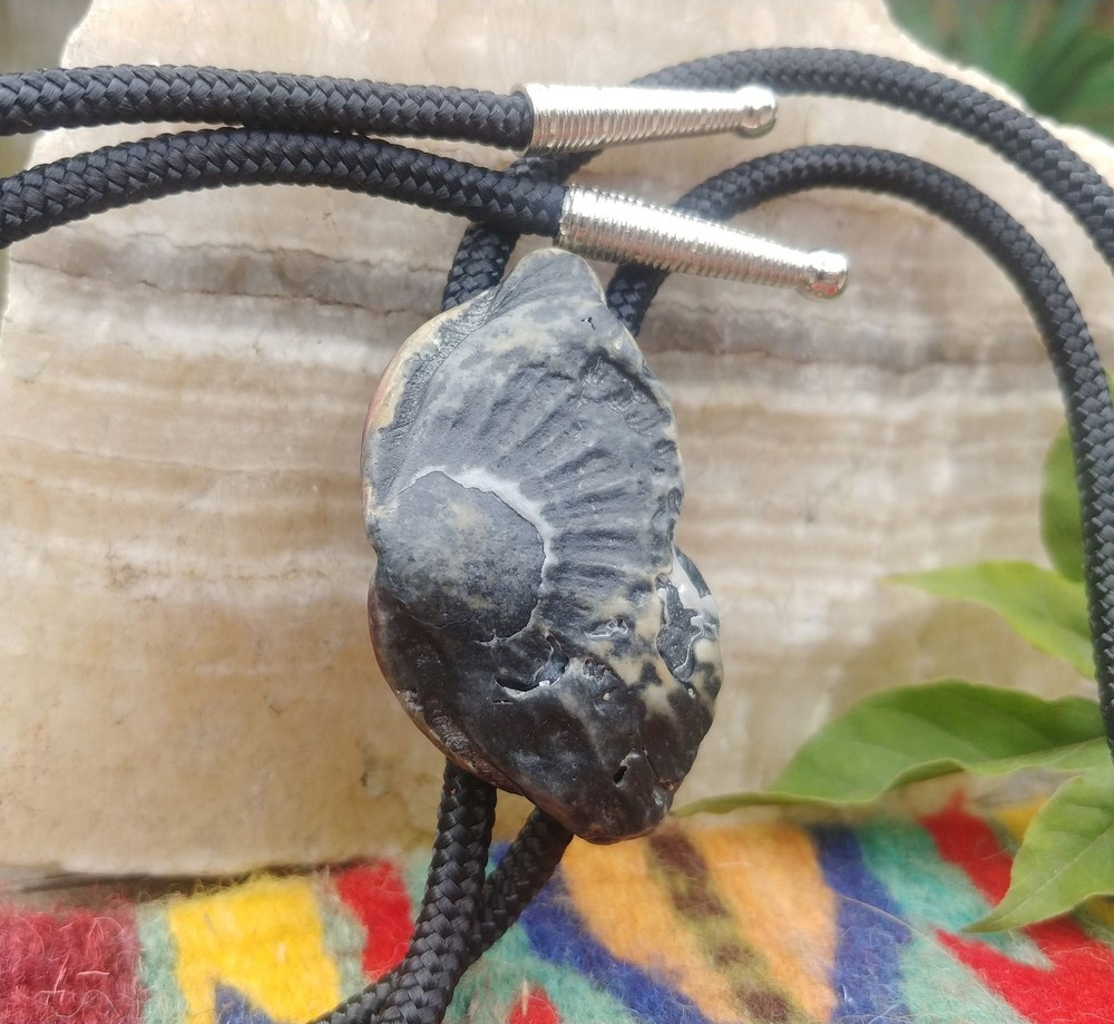 Handcrafted Black Clamshell Bolo Tie
