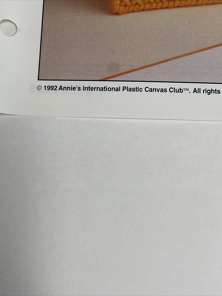 Bear Tote Bag Annie's Plastic Canvas Pattern