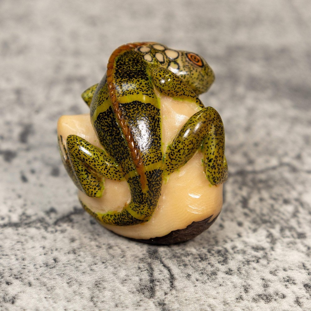 Iguana Lizard Reptile Tagua Carving