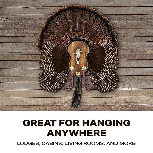 Ultimate Turkey Mounting Kit, Plaque, Beard, Fan, Universal (Model: MMR UTP)