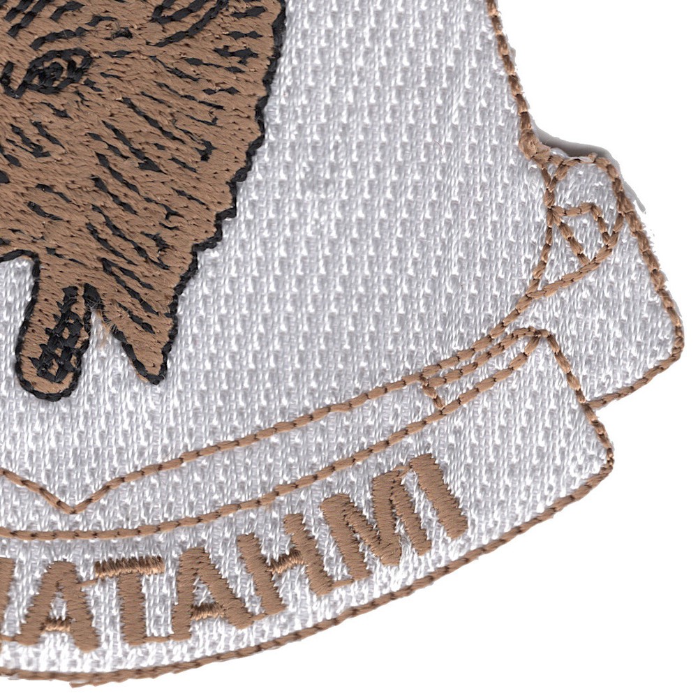 386th Infantry Regiment Patch