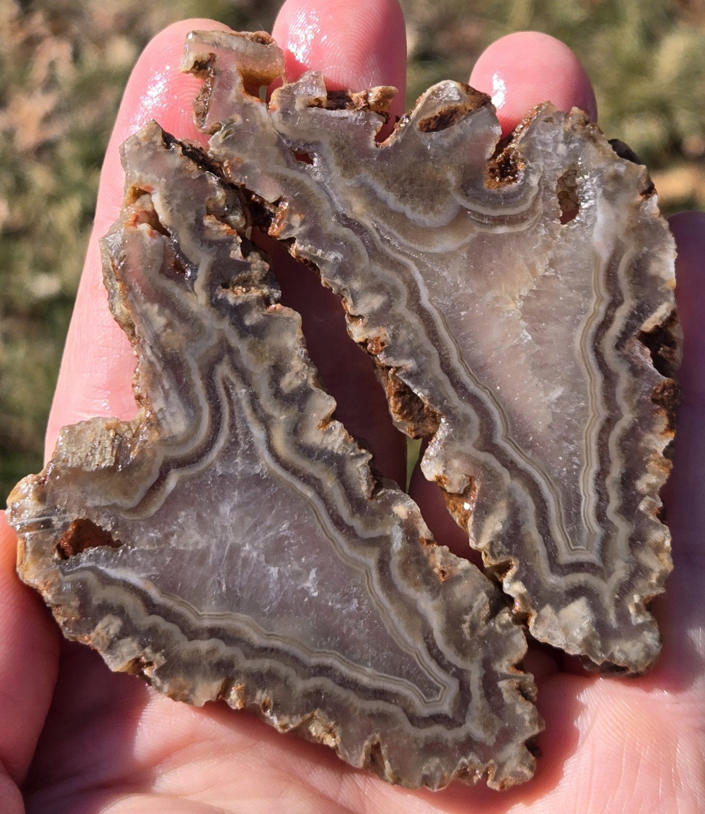 Turkish Agate Slabs Slices From One Stone Matching Lapidary Unique