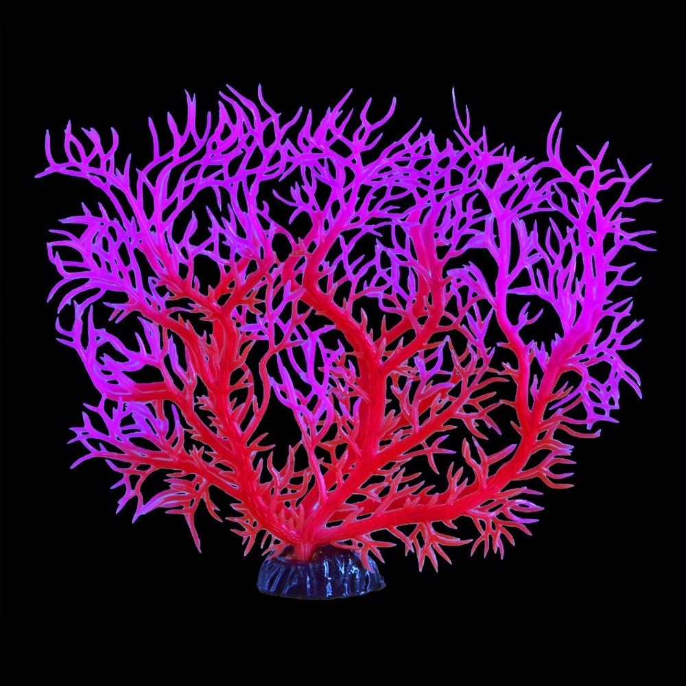 RA Glow Sea Fan (2 Pack)