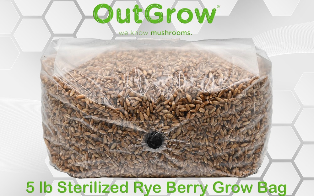 Sterilized Rye Berry Grow Bag (5lb)