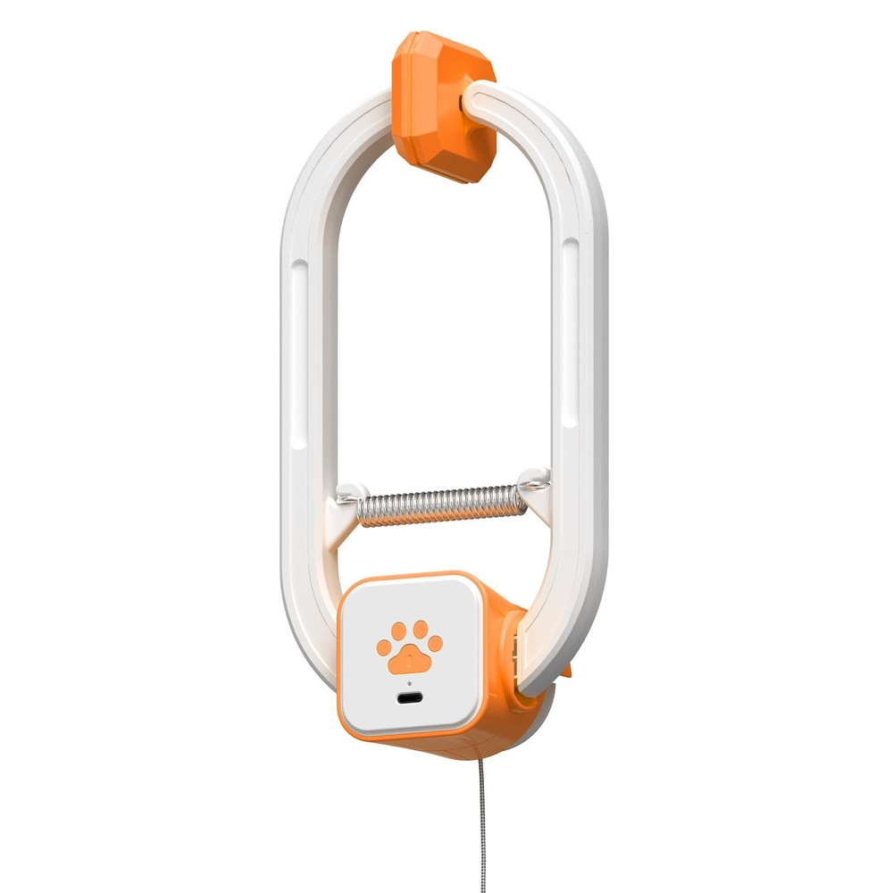 HAPPYCODE Interactive Cat Toy: Flapping Bird & Rotating Feather Teaser Doorway T