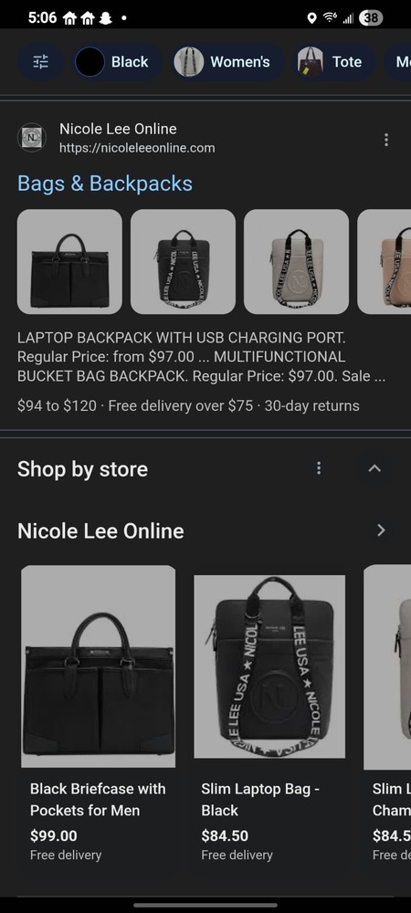 Nicole Lee Computer Laptop Bag