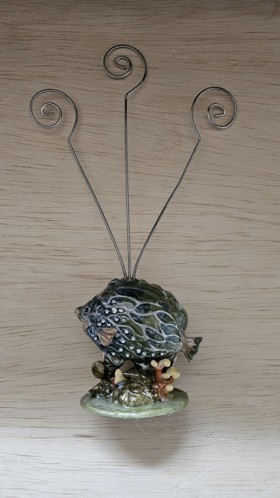 Fish Photo Card Holder 3-Wire Ring