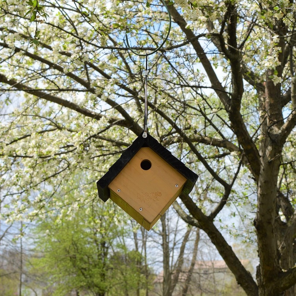 Attractive 8" Cedar Wren House - Quality with Bird-Friendly Features