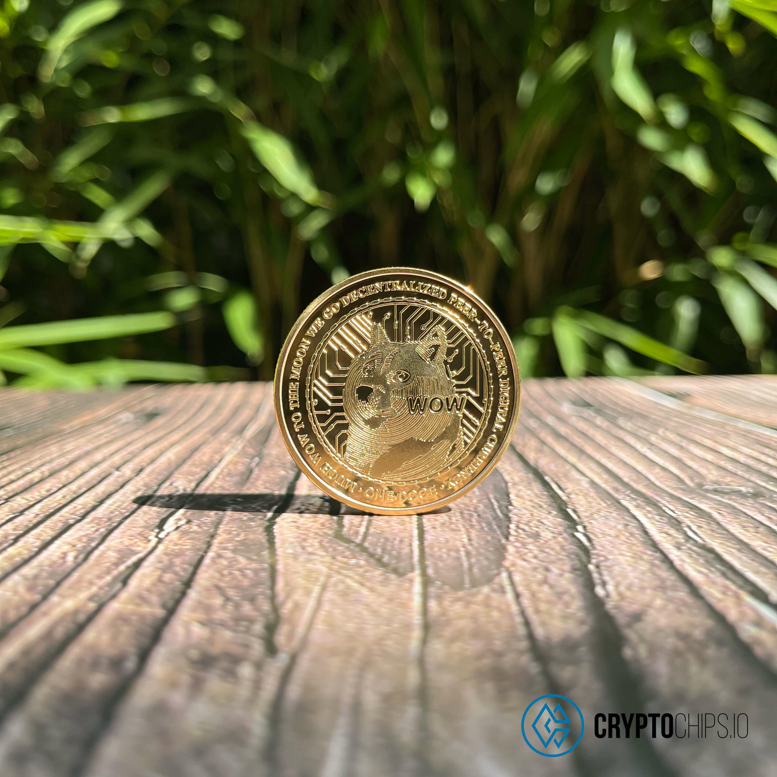 Dogecoin (DOGE) Physical Crypto Coin by Cryptochips | High Quality Collectables
