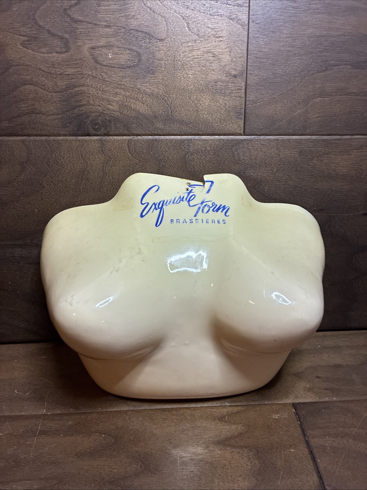 VTG 50s EXQUISITE FORM BULLET BRA BRASSIERS DISPLAY BUST STORE COUNTER MANNEQUIN