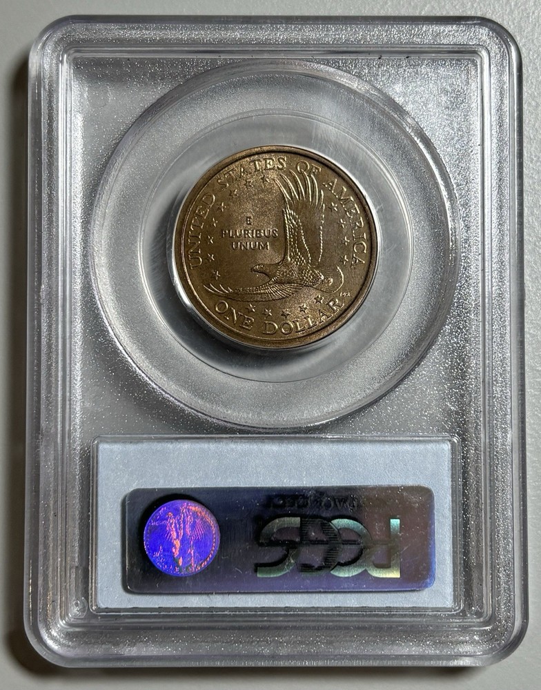 2001-P SACAGAWEA DOLLAR US MINT ERROR EXPERIMENTAL RINSE PCGS MS66