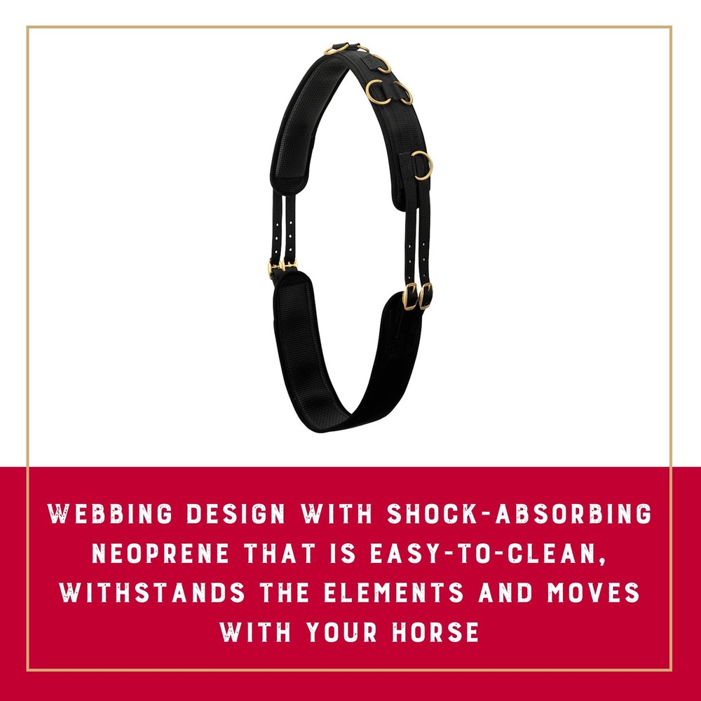 Weaver Equine Adjustable Surcingles for Horses with Average, Lime