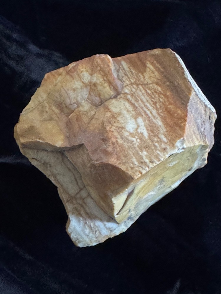 Petrified Wood