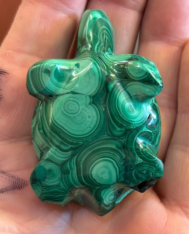 2” Malachite Turtle