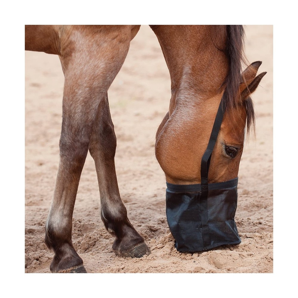 Cashel Feed Rite Bag, Black, Horse