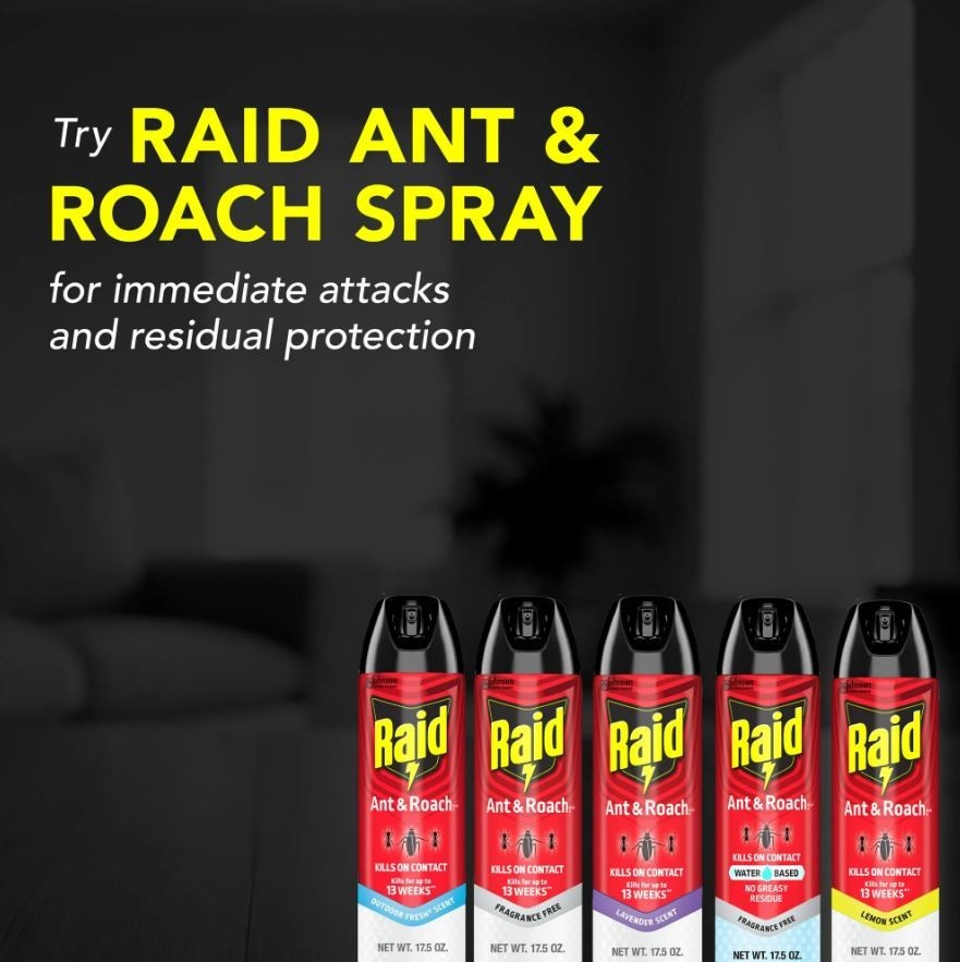 Raid Ant & Roach Killer Spray Lavender Scent for Listed Bugs 17.5 oz