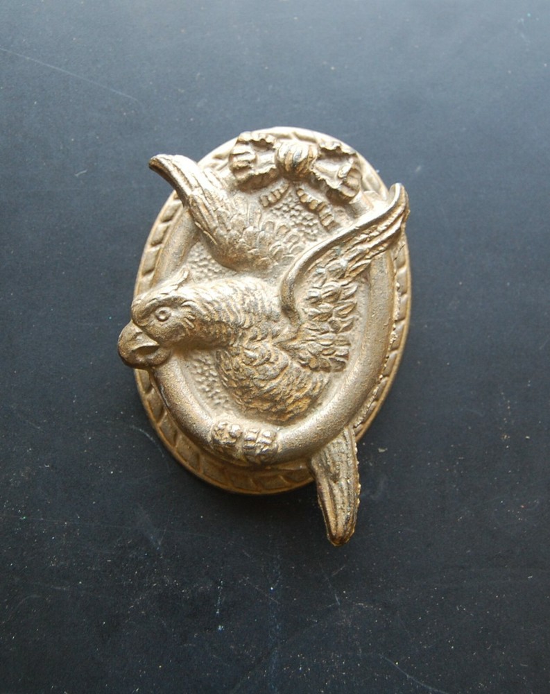 Antique Brass Door  Knocker Parrot
