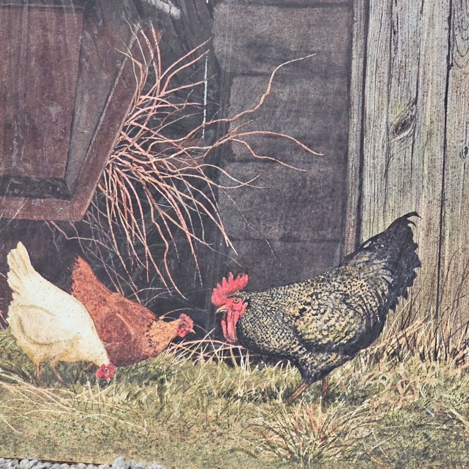 Pecking Party Print By Evelyn Pierson Farmhouse Decor Chicken Rooster 14" x 11"