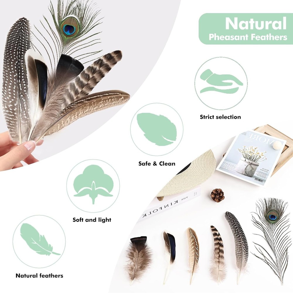 Natural Feathers Bulk - 55PCS - 6 Styles Assorted Feathers, 6