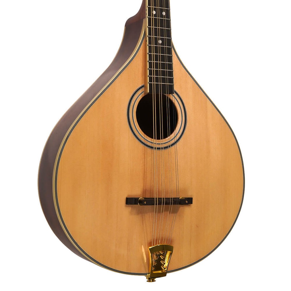 Gold Tone OM-800+ Octave Mandolin w/ Hardshell Case